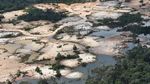 Parah! Hutan Amazon Gundul Akibat Penambangan Ilegal
