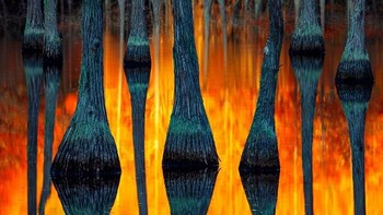 Sheffield, Tasmania, Australia karya Mieke Boynton. Foto: internationallandscapephotographer.com