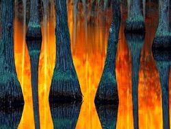 Karya Jawara Landscape Photographer of the Year Bikin Terperangah