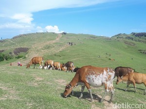 Bukan di Eropa, Ini di Lombok