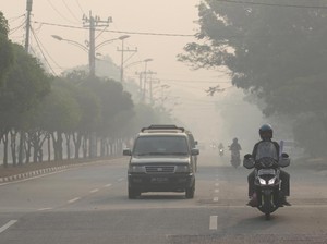 Mempawah Kalbar Diselimuti Kabut Asap Kebakaran Hutan