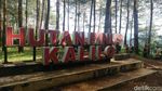 Potret Hash, Olahraga Sambil Berwisata
