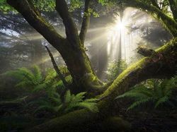 Karya Jawara Landscape Photographer of the Year Bikin Terperangah