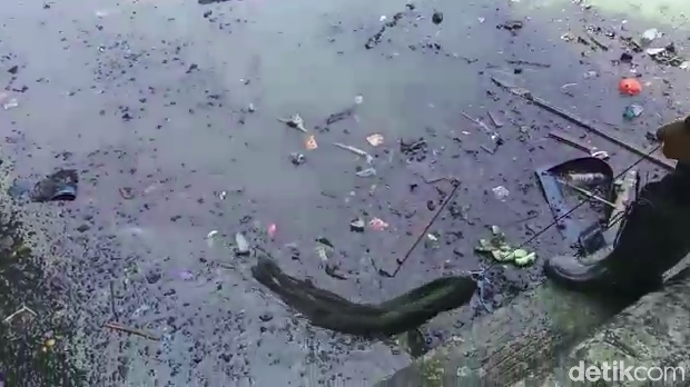 Warga ambil sisa solar dari kapal nelayan yang terbakar di Pelabuhan Muara Baru, Jakarta Utara.