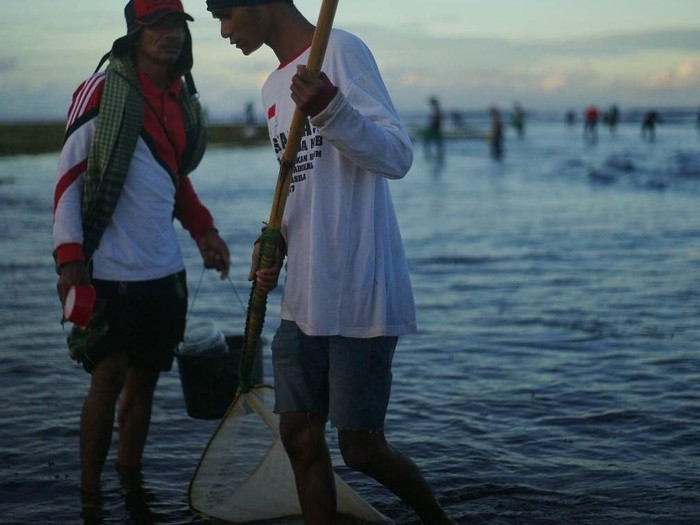 nyale, cacaing laut khas lombok