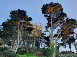 Kantor Google hingga Golden Gate dari Kamera Galaxy S10