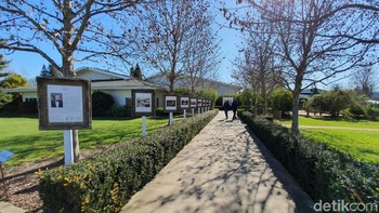 Ini adalah jalan untuk masuk ke Raymond, salah satu tempat wine paling terkenal di Amerika Serikat. Foto: Imron Rosyadi/detikinet