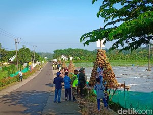 Kenalkan Produk Unggulan Kediri, 2019 Durian Dibagikan Gratis