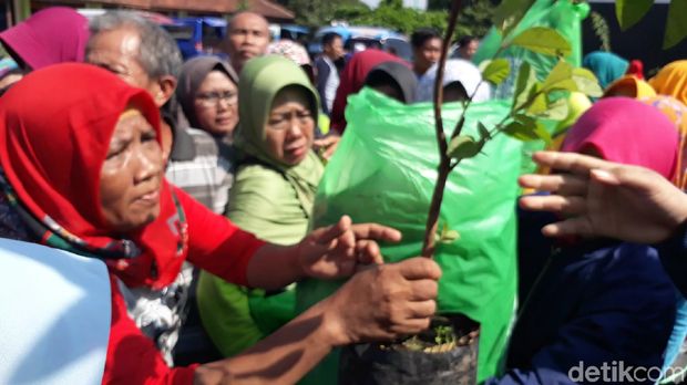 Di Brebes Ada Gerakan Tukar Sampah Plastik dengan Bibit Pohon