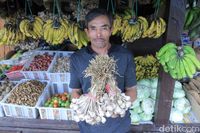 (Wisma Putra/detikTravel)
