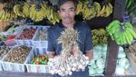 Foto: Belanja Sayur di Kamojang Buat Oleh-oleh Emak di Rumah
