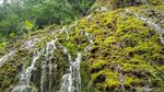 Foto Air Terjun Ajaib Hangat Dingin dari Wonosobo