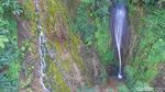 Foto Air Terjun Ajaib Hangat Dingin dari Wonosobo