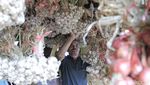 Foto: Belanja Sayur di Kamojang Buat Oleh-oleh Emak di Rumah