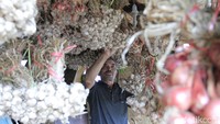 Sayuran segar ini dari perkebunan di Kamojang. Semua hasil petik di kebun. Sebagian dijual di toko ini, sebagian dijual di pasar. (Wisma Putra/detikTravel)