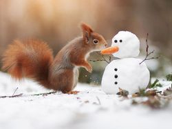 Deretan Foto Lucu Tingkah Hewan yang Bikin Gemas