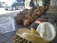 Ini Keistimewaan Durian Serendet Khas Kampung Benteng Ciamis yang Jadi Buruan