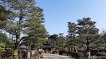 Foto: Taman Romantis di Jepang, Cocok Untuk Syahrini dan Reino