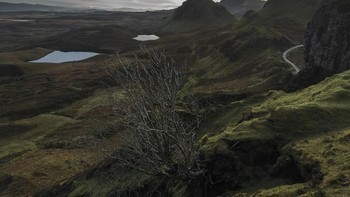 Foto landscape yang diambol dengan komposisi f/14.0, ISO 100, 1/500s -. Foto: GSM Arena