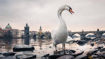 Foto alam diambil dengan komposisif/1.6, ISO 320, 1/-0s -. Foto: GSM Arena