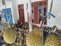 Ini Keistimewaan Durian Serendet Khas Kampung Benteng Ciamis yang Jadi Buruan