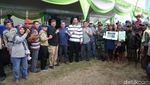 Foto: Bukan Madura, Ini Karapan Sapi di Probolinggo yang Juga Seru!