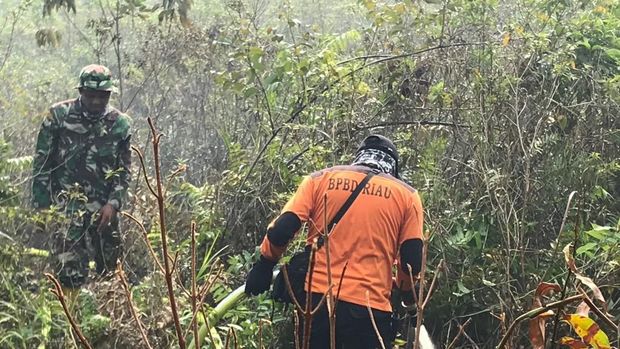 742 Hektare Lahan di Bengkalis Riau Terbakar