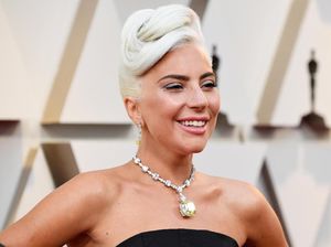 Lady Gaga Tawarkan Imbalan Fantastis Bagi Penemu 2 Anjingnya
