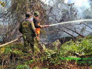 Kabut Asap Kepung Kota Dumai Imbas Karhutla di Riau
