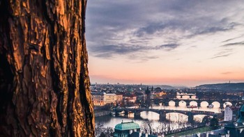 Foto low light dengan komposisi f/1.6, ISO 100, 1/-0s - Foto: GSM Arena