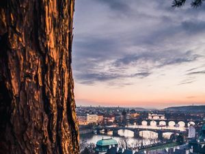Begini Hasil Jepretan 5 Kamera Nokia 9 PureView