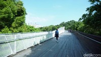 Cobalah melewati Jembatan Henderson Wave yang sangat unik terbuat dari kayu dan berbentuk ombak. Kita bisa melihat langit cerah dengan pohon-pohon yang rimbun di sekitarnya (Mardi Rahmat/detikTravel)