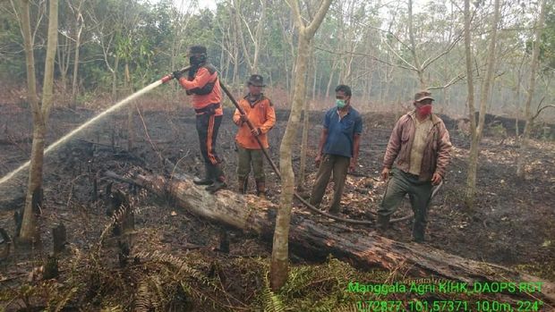 742 Hektare Lahan di Bengkalis Riau Terbakar