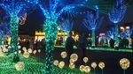 Foto: Cantiknya Festival Lampion di Taiwan
