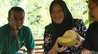 Asyiknya Makan Durian Kinanti dan Kampiun di Atas Perbukitan Karangmangu