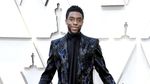 Penampilan Para Superhero di Oscar 2019