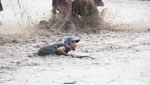 Foto: Bukan Madura, Ini Karapan Sapi di Probolinggo yang Juga Seru!