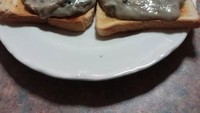 Tampilan awalnya harusnya menggugah selera, tapi saus mushroom di atas roti ini justru dikritik netizen mirip seperti muntahan hewan kucing. Ew! Foto: Facebook Rate My Plate