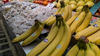 Foto bokeh yang diambil dengan komposisi  f/2.0, ISO 153, 1/100s -.Foto: GSM Arena