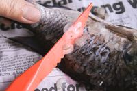 Kreatif! Pria Ini Bersihkan Sisik Ikan Pakai Mesin Bor Listrik