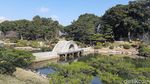 Foto: Taman Romantis di Jepang, Cocok Untuk Syahrini dan Reino