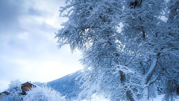 Foto dengan komposisi f/0.0, ISO 100, 1/-0s - Foto: GSM Arena