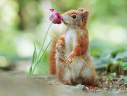 Deretan Foto Lucu Tingkah Hewan yang Bikin Gemas