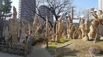 Foto: Taman Romantis di Jepang, Cocok Untuk Syahrini dan Reino