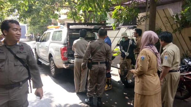 Diduga Gigit Warga, 2 Anjing Liar di Duren Sawit Ditangkap