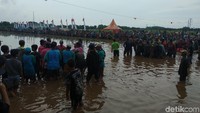Sedikitnya, 10 peserta ikut dalam Karapan Sapi Brujul kali ini. Mereka berasal dari sejumlah daerah di Jawa Timur, di antaranya Lumajang, Situbondo, Jember dan lainnya (M Rofiq/detikTravel) 