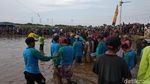 Foto: Bukan Madura, Ini Karapan Sapi di Probolinggo yang Juga Seru!