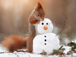 Deretan Foto Lucu Tingkah Hewan yang Bikin Gemas