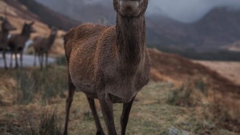 Foto alam yang diambil dengan komposisi f/14.2, ISO 181, 1/58s - Foto: GSM Arena
