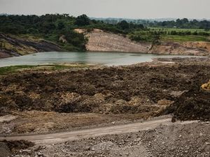 Greenpeace: Penegakan Hukum di Bidang Lingkungan Hidup Sulit